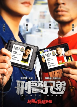 刑警兄弟粤语版截图