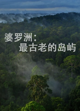 婆罗洲：最古老的岛屿}