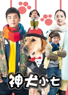 神犬小七}