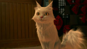  White Cat Legend (Thai ver.) Episódio 1 (2024) Legendas em português Dublagem em chinês