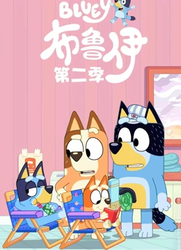 布鲁伊 第二季}