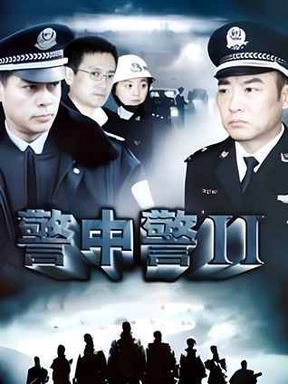 警中警2