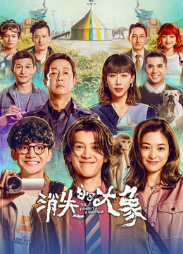 消失的大象}