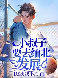 小叔子要去缅北发展，这次我不拦了