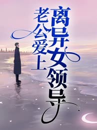 老公爱上离异女领导