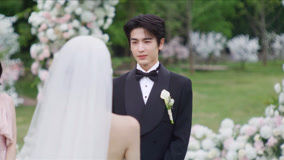 Watch the latest EP28 He Suye and Shen Xifan hold their wedding online with English subtitle for free English Subtitle