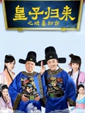皇子归来之欢喜知府}