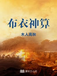 布衣神算
