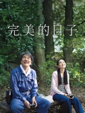 完美的日子}