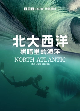 海报背景