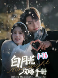 白月光攻略手册封面图