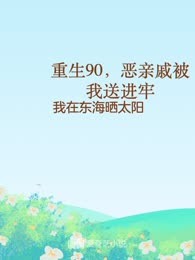 重生90，恶亲戚被我送进牢