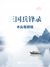 三国兵锋录
