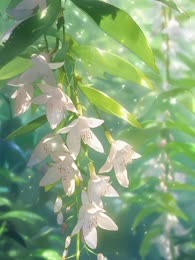 落难君王被迫男扮女装