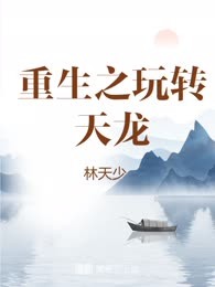 重生之玩转天龙
