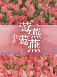 莺莺燕燕