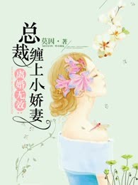 离婚无效：总裁缠上小娇妻