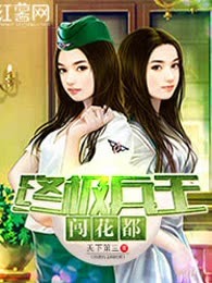 终极兵王闯花都