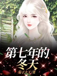 第七年的冬天