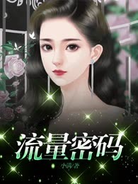 流量密码