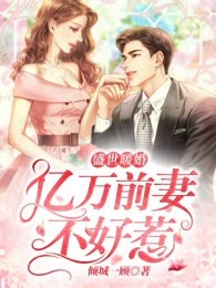 盛世暖婚：亿万前妻不好惹