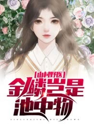 桃源小医圣