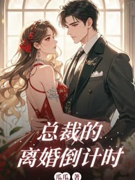 总裁的离婚倒计时