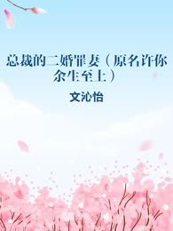 总裁的二婚罪妻（原名许你余生至上）