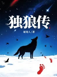 独狼传