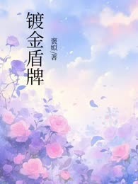 镀金盾牌