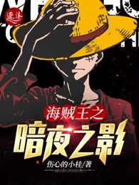 海贼王之暗夜之影