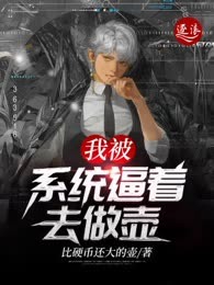 我被系统逼着去做壶