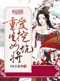 重生女将爱挖坑