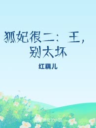 狐妃很二：王，别太坏