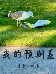 我的预期差
