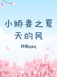 小娇妻之夏天的风