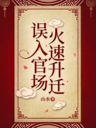 误入官场，火速升迁