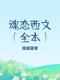魂恋西文（全本）
