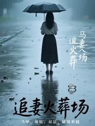 离婚后，前夫他火葬场了