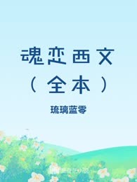 魂恋西文（全本）