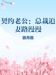 契约老公：总裁追妻路漫漫
