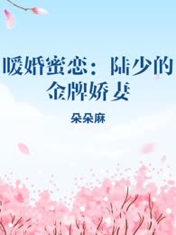 暖婚蜜恋：陆少的金牌娇妻
