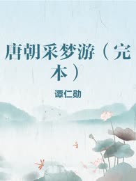 唐朝采梦游（完本）