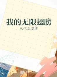 我的无限翅膀