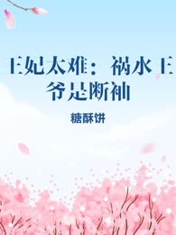 王妃太难：祸水王爷是断袖
