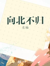 向北不归