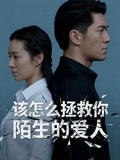 该怎么拯救你陌生的爱人封面图