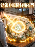 透视神眼横扫赌石界封面图
